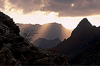 Wadi Bani Awf, Djebel Akhdar - Vallée Bani Awf, OMAN (OM10353) Wadi Bani Awf, Djebel Akhdar - Vallée Bani Awf, OMAN (OM10353)