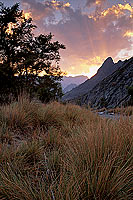 Wadi Bani Awf, Djebel Akhdar - Vallée Bani Awf, OMAN (OM10359)