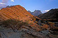 Wadi Bani Awf, Djebel Akhdar - Vallée Bani Awf, OMAN (OM10358)