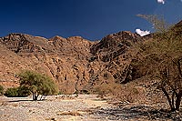 Wadi Bani Kharus, Djebel Akhdar - VallÃ©e Bani Kharus, OMAN   (OM10170)