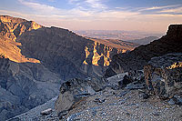 Oman's Grand canyon - Le Grand Canyon d'Oman, OMAN (OM10408)