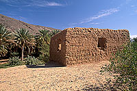 Tanuf. Palm grove near Tanuf -  Palmeraie près de Tanuf, Oman (OM10290)