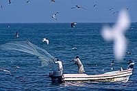 Mughsayl, Dhofar. Fishermen at work - Pêcheurs au travail, Oman (OM10322)