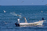 Mughsayl, Dhofar. Fishermen at work - Pecheurs au travail, Oman (OM10323)