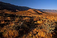 Wadi Hanna, Dhofar - Wadi Hanna, dans le Dhofar, OMAN (OM10081)