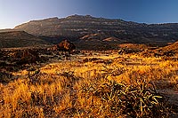 Wadi Hanna, Dhofar - Wadi Hanna, dans le Dhofar, OMAN (OM10089)