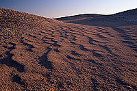 Qatbit. Desert sand and dunes - Sable du desert, Oman (OM10316)