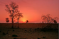 Sinaw, Sharqiyah. Sunset in the half-desert - Couchant, Oman (OM10326)
