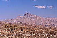 Sur. Landscape SW of Sur - Paysage au SO de Sur, OMAN (OM10520)