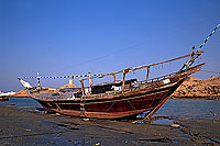 Sur (Sour). Dhows, low tide - Boutres, marée basse,  OMAN (OM10539)