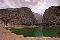 Tiwi. Wadi, village and gorge - Village de Tiwi, près de Sur, Oman (OM10297)