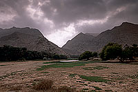 Tiwi. Wadi, village and gorge - Village de Tiwi, près de Sur, Oman (OM10298)