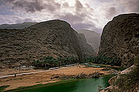 Tiwi. Wadi, village and gorge - Village de Tiwi, près de Sur, Oman (OM10299)