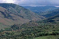 Greece, Lesvos: valley near Eressos - Lesbos: près Eressos 11447