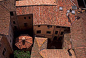 Tuscany, Siena, roofs -  Toscane, Sienne, toits de la ville  12597