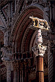 Tuscany, Siena, the Duomo -  Toscane, Sienne, la cathédrale  12612