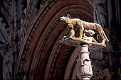 Tuscany, Siena, the Duomo -  Toscane, Sienne, la cathédrale  12613