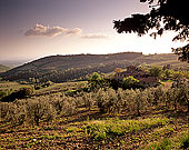 Tuscany, Chianti, Sunset & vineyards - Toscane, Chianti 12114 Tuscany, Chianti, Sunset & vineyards - Toscane, Chianti 12114