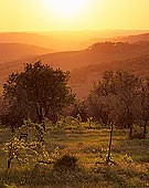 Tuscany, Chianti, Sunset & vineyards - Toscane, Chianti  12096