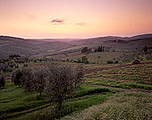 Tuscany, Chianti, Sunset & vineyards - Toscane, Chianti  12093