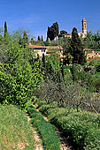 Tuscany, Chianti, Linari - Toscane, paysage à Linari  12134