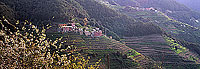 Liguria - Ligurie, Cinque Terre: small village - Petit village   12184