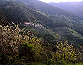 Liguria - Ligurie, Cinque Terre: small village - Petit village 12185