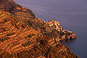 Liguria - Ligurie, Cinque Terre: Manarola - village de Manarola   12158
