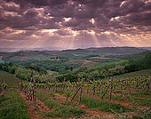 Tuscany, near San Gimignano - Toscane, vignes et orage  12370