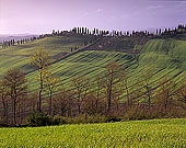 Tuscany, Crete region, near Arbia - Toscane, Crete, Arbia   12234