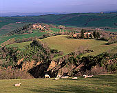 Tuscany, Crete region, near Asciano - Toscane, Crete, Asciano  12241