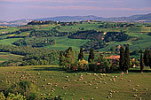 Tuscany, Crete region - Toscane, paysage des Crete    12263