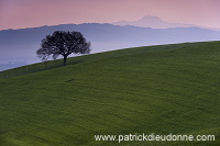 Val d'Orcia, Tuscany - Val d'Orcia, Toscane it01300