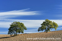 San Quirico, Tuscany - San Quirico, Toscane - it01784