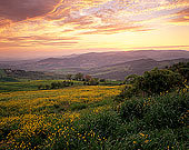Tuscany, sunset over Val d'Orcia  - Toscane, Val d'Orcia  12667