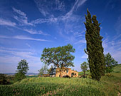 Tuscany, house near Pienza  - Toscane, maison et cyprès  12672