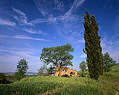 Tuscany, house near Pienza - Toscane, maison et cyprès 12672 Tuscany, house near Pienza - Toscane, maison et cyprès 12672