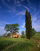 Tuscany, house near Pienza  - Toscane, maison et cyprès  12673