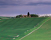 Tuscany, farm near Pienza - Toscane, ferme et cyprès 12683 Tuscany, farm near Pienza - Toscane, ferme et cyprès 12683