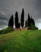 Tuscany, graveyard and cypress  - Toscane, cimetière & cyprès  12686