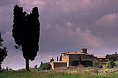 Tuscany, near Torrenieri, val d'Asso  - Toscane, Torrenieri   12708