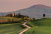 Tuscany, countryside in Val d'Orcia  - Toscane, Val d'Orcia  12726