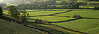 Swaledale, near Gunnister, Yorkshire Dales NP, England - Gunnister, Yorkshire Dales   12931