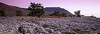 Limestone pavements, Yorkshire NP, England - Lapiez 12938 Limestone pavements, Yorkshire NP, England - Lapiez 12938