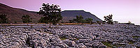 Limestone pavements, Yorkshire NP, England - Lapiez   12938