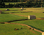 Swaledale, near Gunnister, Yorkshire Dales NP, England - Gunnister, Yorkshire Dales  12946