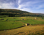 Swaledale, near Gunnister, Yorkshire Dales NP, England - Gunnister, Yorkshire Dales  12947