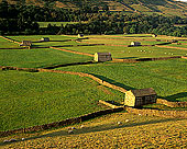 Swaledale, near Gunnister, Yorkshire Dales NP, England - Gunnister, Yorkshire Dales  12949