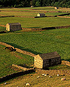 Swaledale, near Gunnister, Yorkshire Dales NP, England - Gunnister, Yorkshire Dales  12951