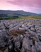 Limestone pavements, Yorkshire NP, England - Lapiez   12941